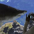 Aquarium Berlin