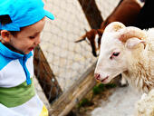 Junge mit Schaf