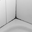 Schimmel