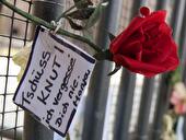 Rose mit Abschiedsgruß für Knut