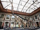 Museum für Naturkunde