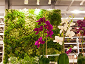glashaus-ikea.jpg