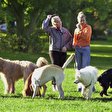 Leben mit Hunden