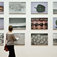 Michael Schmidt. Lebensmittel - Ausstellung im Martin-Gropius-Bau