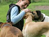 Gute Hundebetreuung ist wichtig