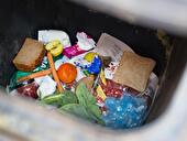 Lebensmittel in der Tonne