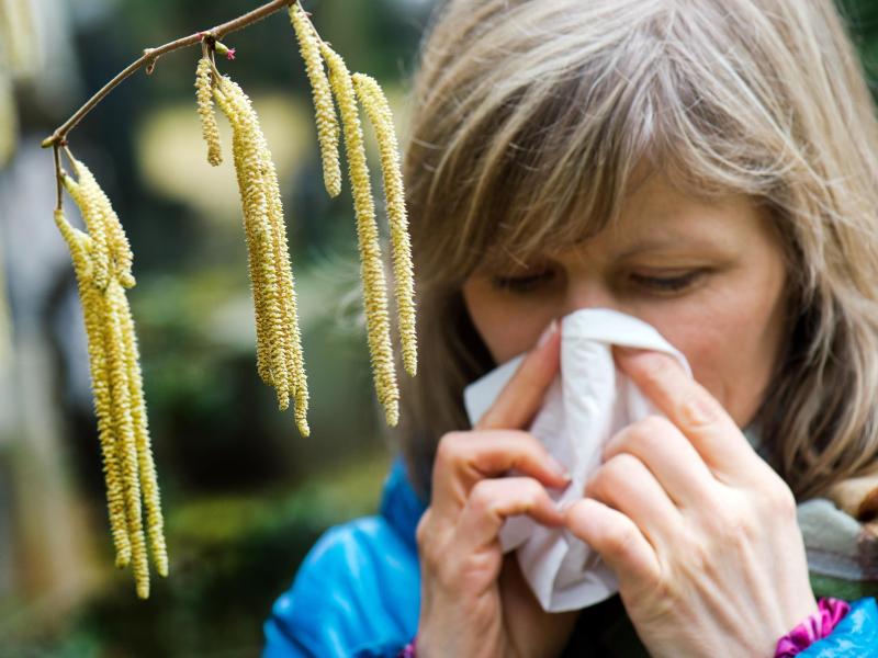 Pollen-Allergiker