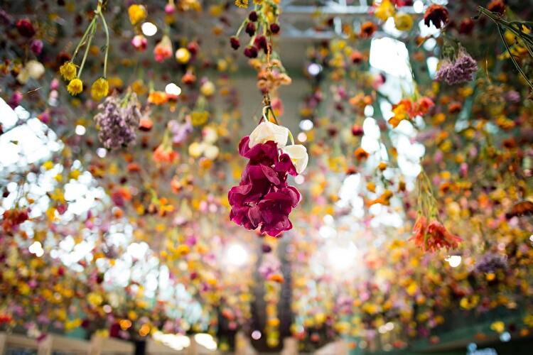 Kunstinstallation mit 30.000 Blumen