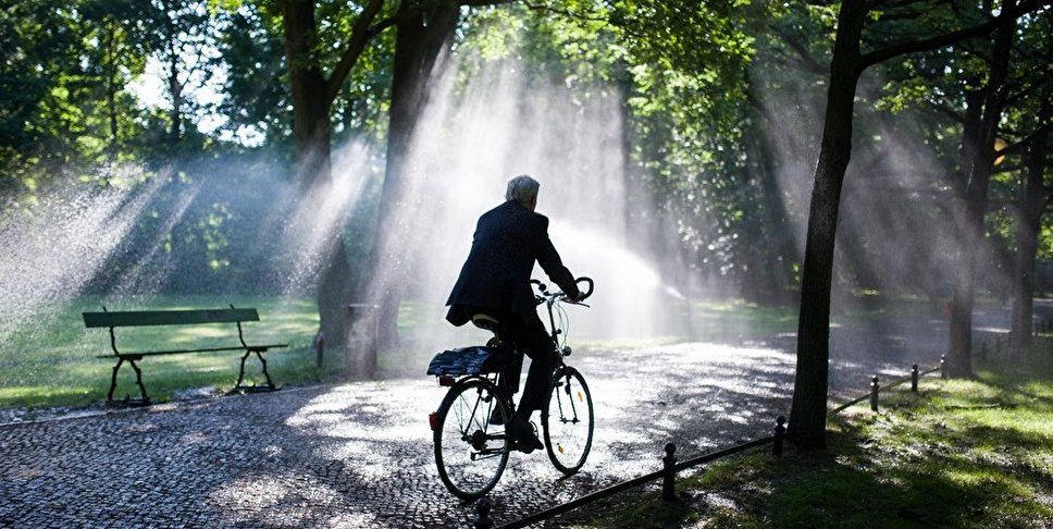 Fahrrad im Tiergarten