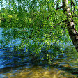 Zehlendorf - Schlachtensee