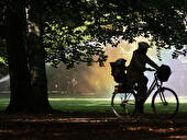 Tiergarten