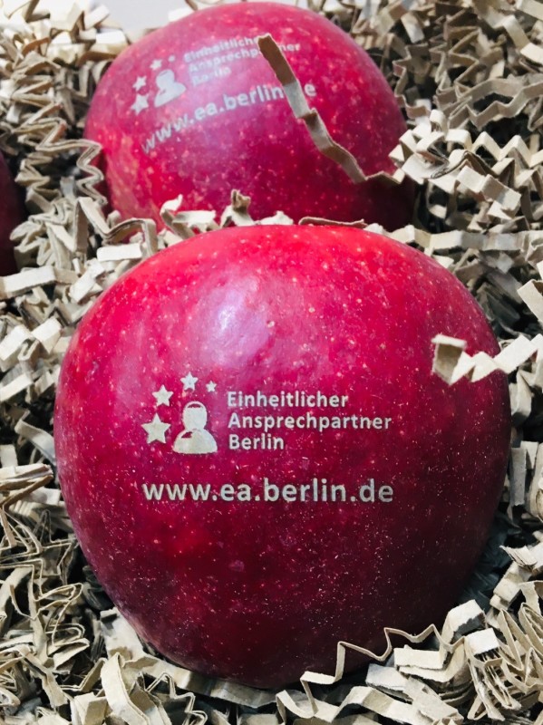 Mit dem Logo des Einheitlichen Ansprechpartners Berlin bedruckte Äpfel