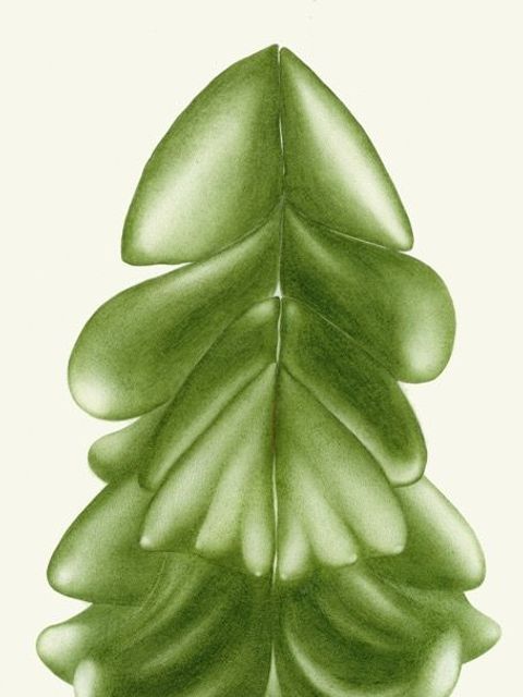 Zeichnung von Hanna Hennenkemper (Bild: Hanna Hennenkemper)