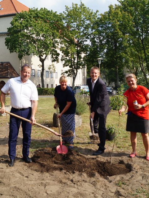 (von links nach rechts): Frank Balzer, Julia Kulicke, Tobias Dollase und Andrea Harder / Foto: Bezirksamt Reinickendorf (Bild: BA Reinickendorf)
