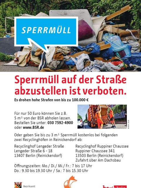 Der neue Informationsflyer (Bild: BA Reinickendorf)