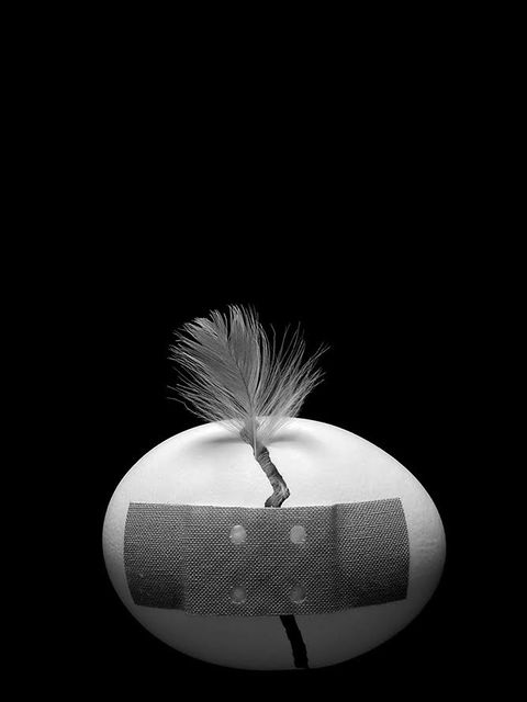 Sabine Boeck, Stillleben, 2017, Fotografie (Bild: Sabine Boeck)