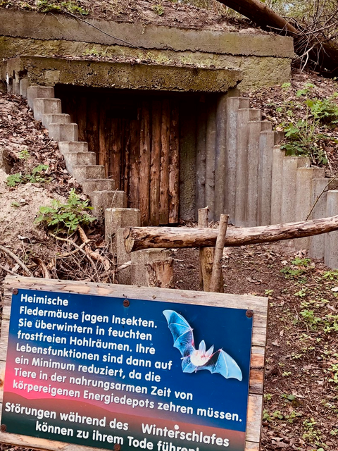 Fledermausinformationen vor Unterschlupf