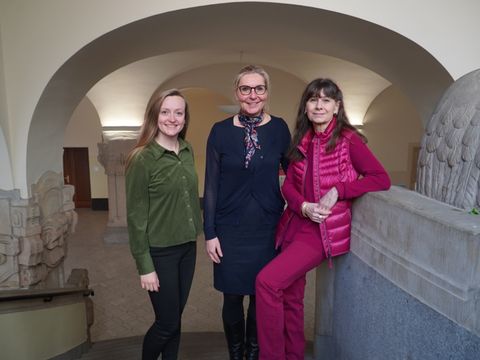 Team der Wifö