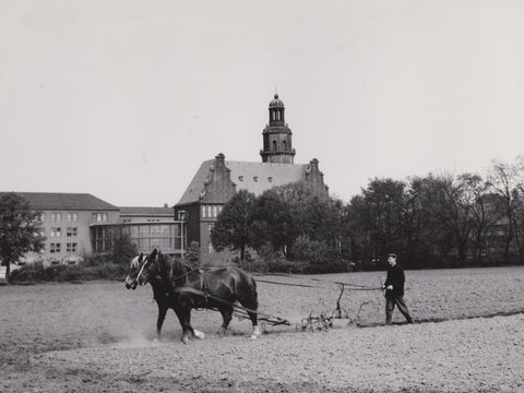 Blick auf das Rathaus Reinickendorf vom Nutzfeld der ehemaligen Karl-Bonhoeffer-Nervenklink am Eichborndamm, 1962, unbekannter Fotograf (Bild: Museum Reinickendorf)