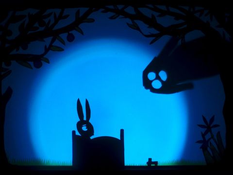 0440-scuraluna-angsthase-nacht-bild-von-maik-zoellner.jpg
