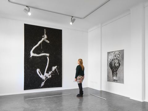 (Bild: Joe Clark)