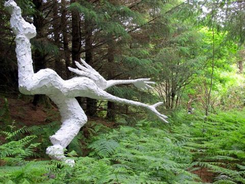 Green Ireland – Irre Gärtner und ihre tollen Gärten (Bild: „vonREISENundGAERTEN-D.David“)