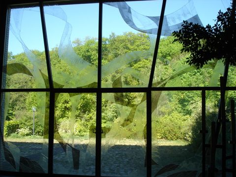 Blick aus der Feierhalle Landschaftsfriedhof Gatow durch große Fensterfront nach draußen auf Bäume