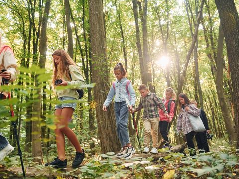 Gemeinsam gehen. Kinder im grünen Wald am Sommertag zusammen.