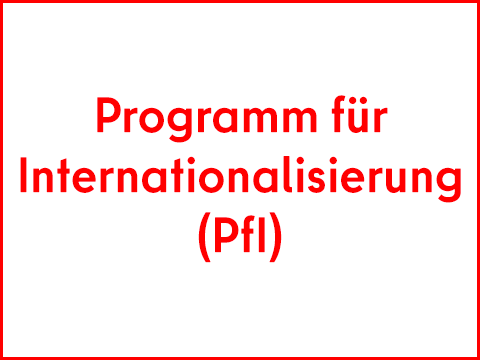 Programm für Internationalisierung (Pfi)
