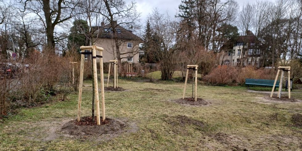 Laden schon bald zum Naschen ein: Obstbäume auf dem Kinderspielplatz an der Ecke Warmbrunner und Paulsborner Straße.