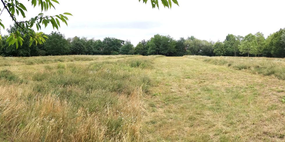 Grünanlage Coloniapark