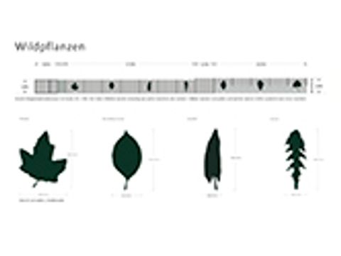 Bildvergrößerung: Entwurf: "Wildpflanzen“ von Monika Götze 
