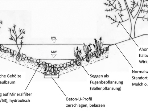 Bildvergrößerung: Querschnitte des Planungsvorschlages für den oberen Teil des Rohrpfuhlgrabens