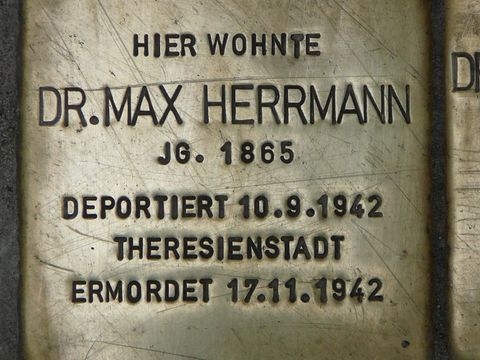 Stolperstein für Prof. Dr. Max Herrmann