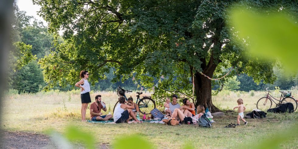 Eine Gruppe Menschen sitzt im Park unter einem Baum