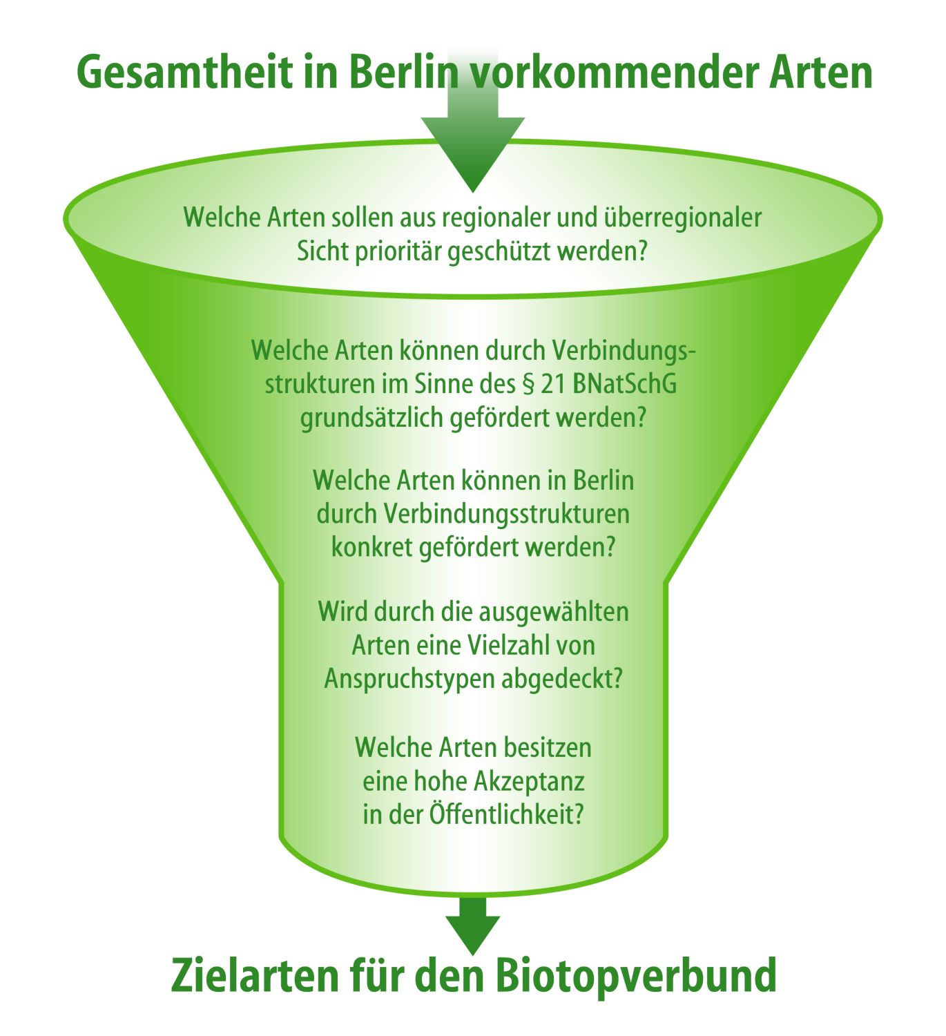 Schema zur Auswahl der Zielarten des Biotopverbunds in Berlin