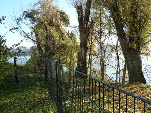 Zaun entlang der Uferlinie an der Schwanenwiese