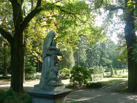 Bildvergrößerung: Friedhof Steglitz Grabfelder