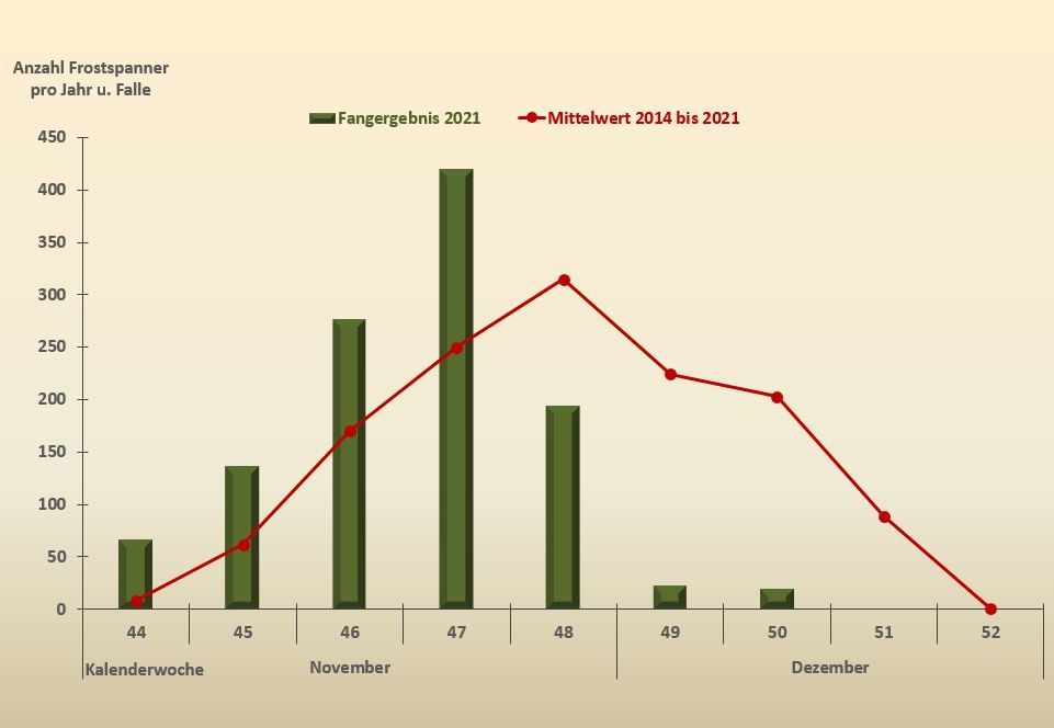 Flugverlauf der Frostspanner-Männchen 2021 im Vergleich zum Mittelwert 2014 bis 2021