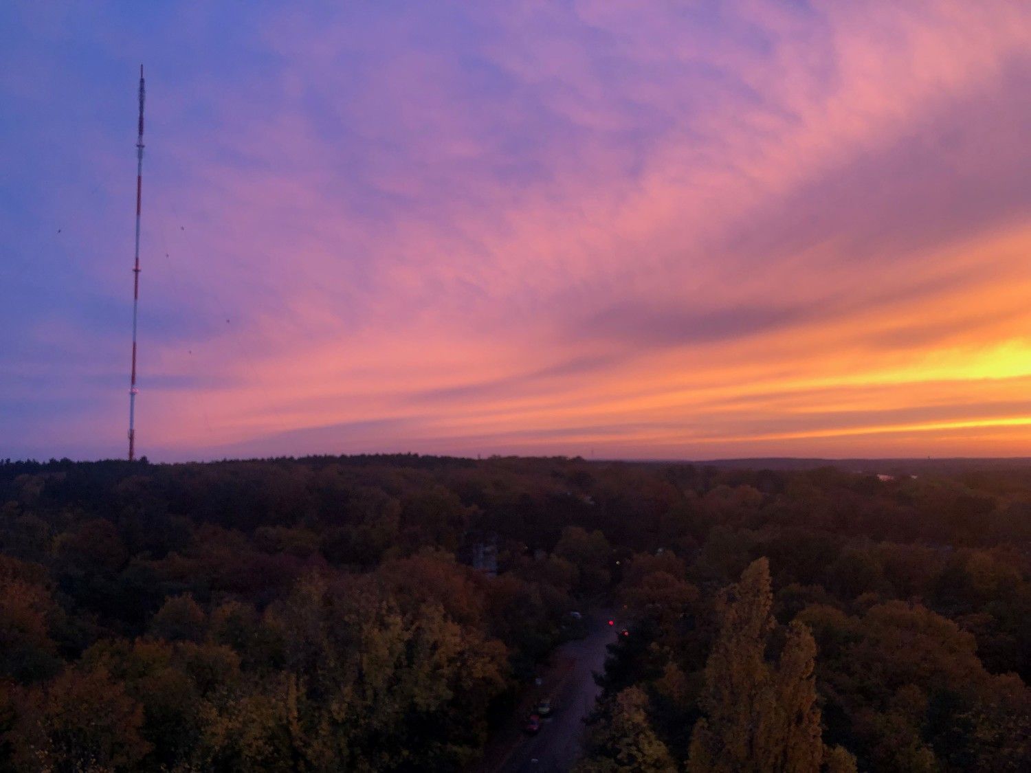 Blick über den Grunewald mit der Rundfunk-Sendeanlage des rbbs.