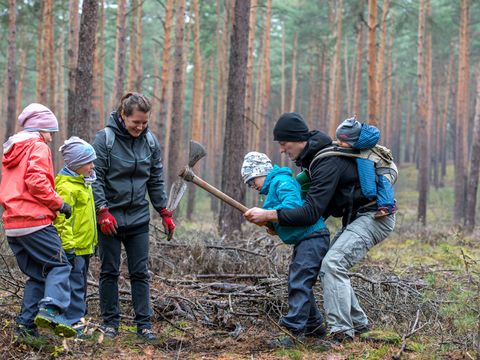 Bildvergrößerung: Baumpflanzung in Gorin durch Freiwillige des Bergwaldprojektes