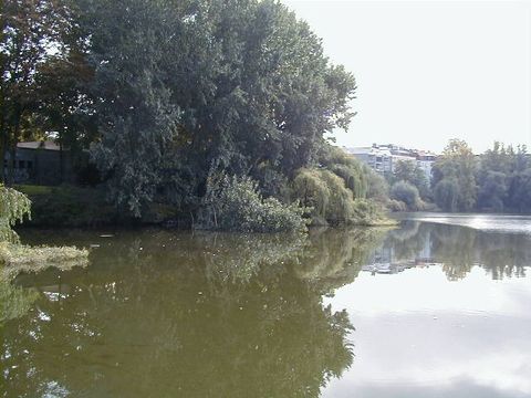Der Lietzensee