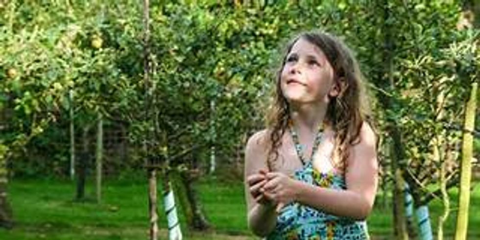 Ein Mädchen im Garten zwischen Bäumen im Sommer