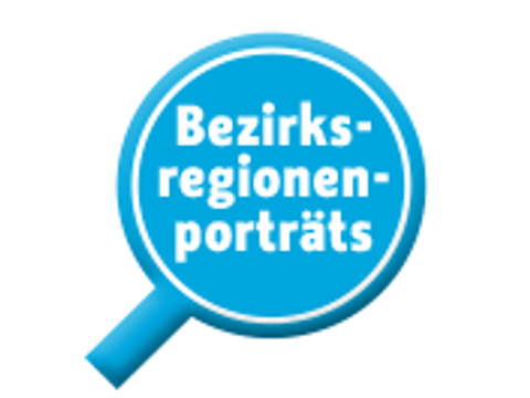 Bezirksregionenportraits Logo blau