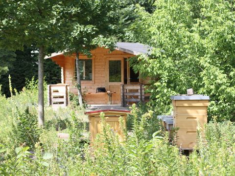 Robert-Jungk-Oberschule: Bienenstöcke