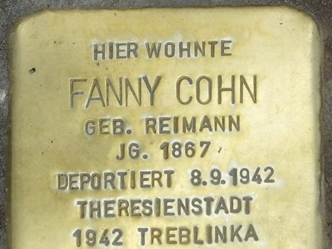 Stolperstein Fanny Cohn