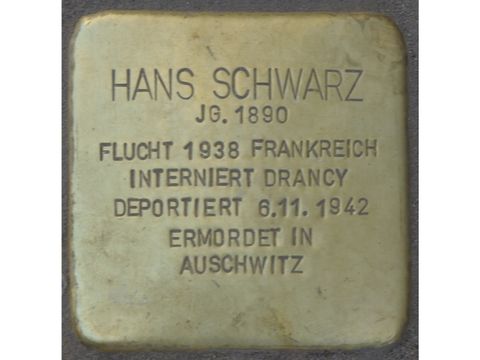 Hans-Schwarz 