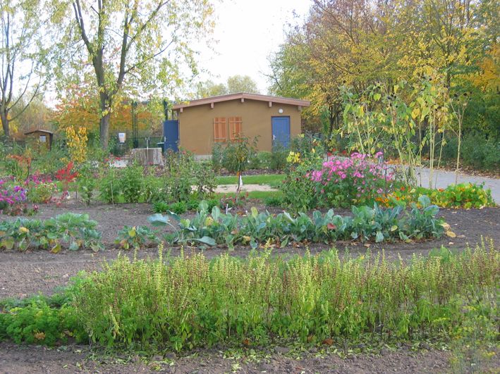 Bild einer Kleingartenanlage