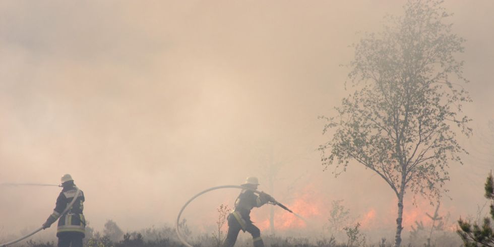 Menschen bekämpfen Waldbrand
