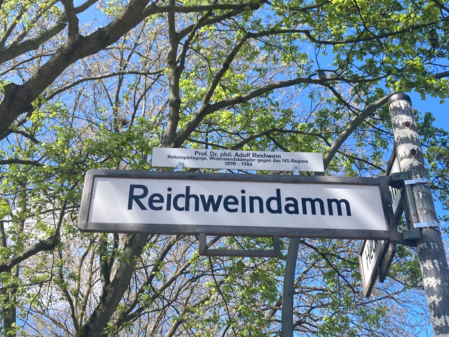 Reichweindamm